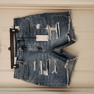 Judy Blue distressed denim shorts. Size 2xl